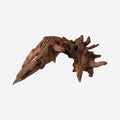 LYPHARD AQUARIUMS Natural Driftwood by LYPHARDAQUARIUMS
