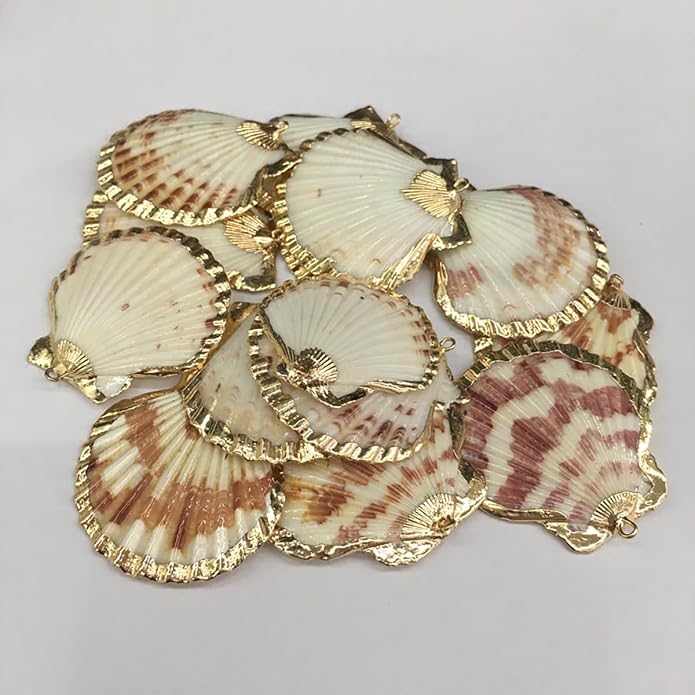 20pcs Natural Shell Pendants Charms Necklace Trendy Pendant - Image 5