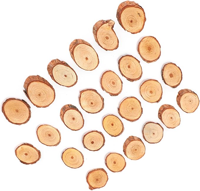 Rustic Unfinished Wooden Ornament Craft Kit 25 Piece DIY Blank Set - Image 8