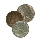 2026 - Starter 3 Coin Collection of Indian Penny, Buffalo Nickel and Steel Cent - Image 2