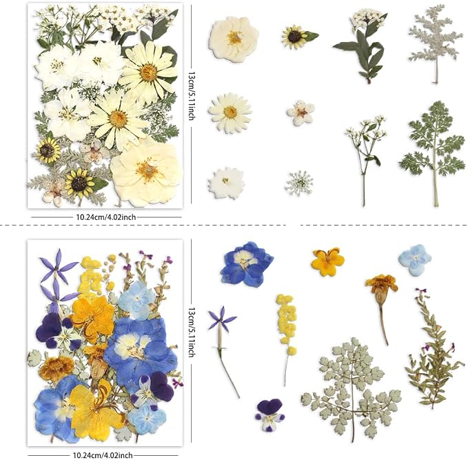 Dried Pressed Flowers - Image 7