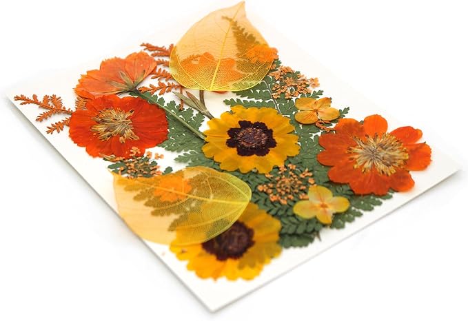 Dried Pressed Flowers Real Natural Petals Bulk Dried Leaves Plant - Image 7