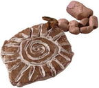 Crayola Air Dry Clay, Terra Cotta No Bake Modeling Clay - Image 7