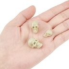 arricraft 140 Pcs 3 Sizes Mini Plastic Skull Heads, Halloween Skeleton - Image 3