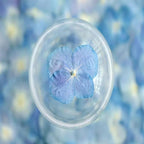 48 Pcs Dried Pressed Flowers for Resin DIY Art Crafts Natural Dry Hydrangea - Image 3