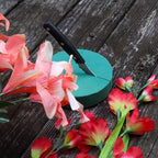 FLOFARE Pack of 6 Round Floral Foam Blocks - Image 3