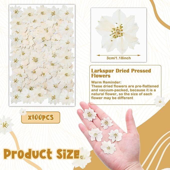 Woanger 100 pcs Dried Pressed Flowers Small Dry Flowers Real Natural Resin - Image 2