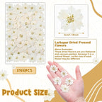 Woanger 100 pcs Dried Pressed Flowers Small Dry Flowers Real Natural Resin - Image 2