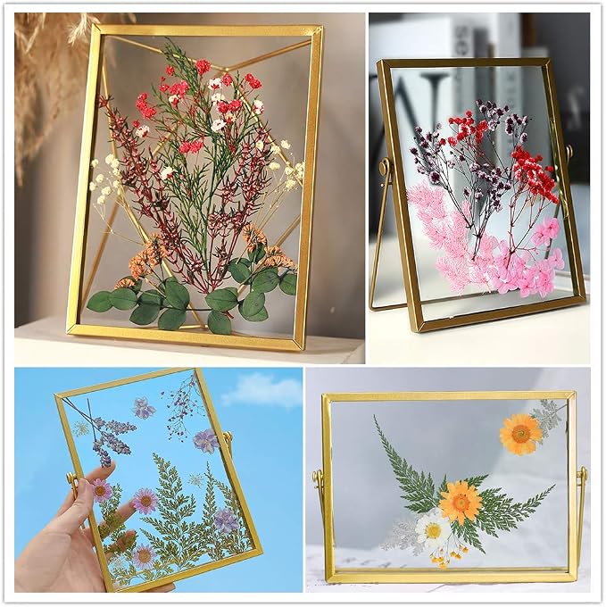 Vignee Real Dried Pressed Leaf Flowers-Multiple Colorful Pressed Flowers Daisies - Image 4