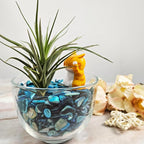 Natural Crushed Shells Chips Irregular Mother of Pearl Seashell Fragments Sea - Image 3