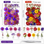 70 pcs Dried Flowers for Resin, Natural Flowers and Leaves Kit - Image 2