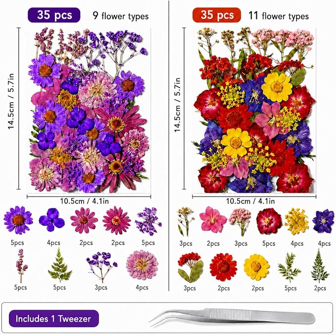 70 pcs Dried Flowers for Resin, Natural Flowers and Leaves Kit - Image 2
