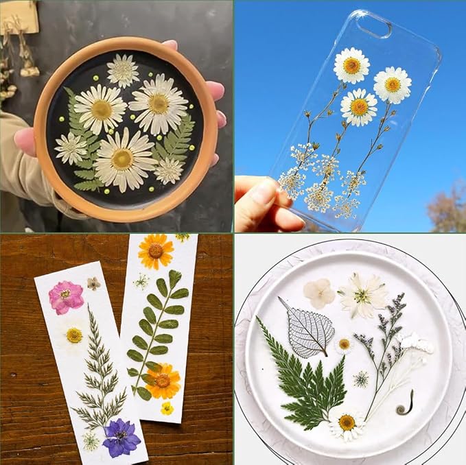 186 Pcs Dried Pressed Flowers for Resin Crafts, Real Natural Pressed Flowers - Image 6