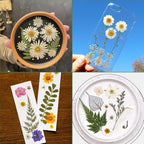 185 Pcs Dried Pressed Flowers for Resin Crafts, Real Natural Pressed Flowers - Image 6
