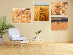 EPHECH 30Pack 12" x 16.5" White Foam Board - Image 7