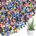 0.88 LB Colored & Black Pea Gravel, Succulent Cactus Topper Dressing Pebbles | by HappyFiller