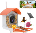 Bird Feeder with Camera, AI Identify Birds Species, Smart Birds Camera with by SecurityCameraBirdFeederCamera