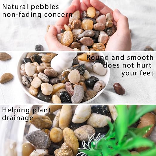 DomeStar River Rocks for Landscaping, 2lb Decorative Ornamental Pebbles Garden - Image 3
