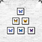 5x5 Small Shadow Box Frame Display Case, Display Case Box - Image 4