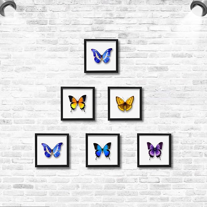 12x12 Shadow Box Frame Display Case - Image 6