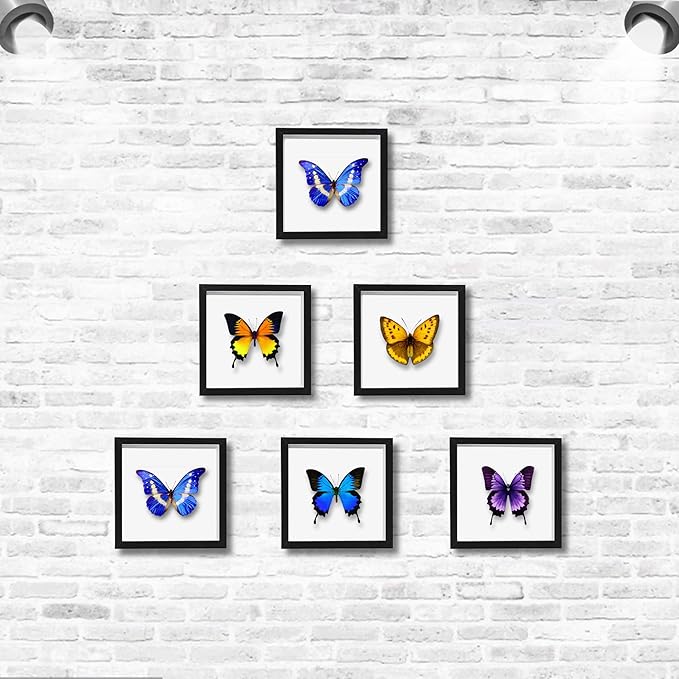 5x5 Small Shadow Box Frame Display Case, Display Case Box - Image 5