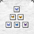 5x5 Small Shadow Box Frame Display Case, Display Case Box - Image 5