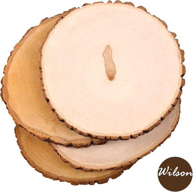 Wilson 12 Pack Basswood Round Rustic Wood Slice, Sanded Side, 9-12" Diameter - Image 3