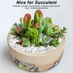 Aquarium Gravel, Landscaping Pebbles, Decorative Ornamental Pebbles Garden - Image 8
