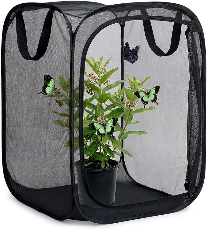 Insect & Butterfly Habitat Cage, Portable Pop-Up Terrarium by Unknown