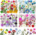 140Pcs Dried Pressed Flowers, Natural Dried Flowers Bulk by Buzidao