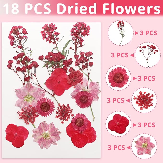 54 Pcs Real Dried Pressed Flowers and Leaves Natural Dried Petals Greenery - Image 3