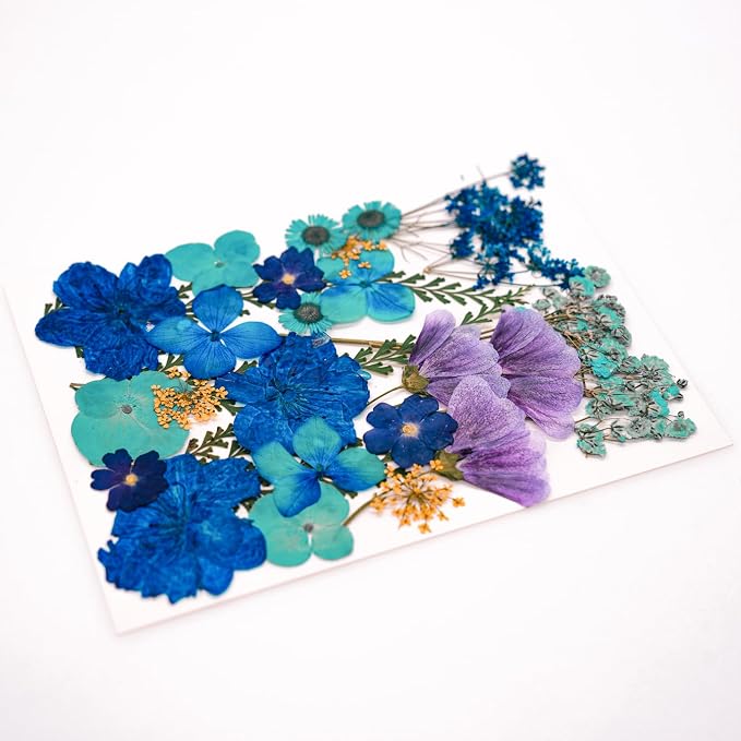 30Pcs Dried Pressed Flowers for Resin DIY Art Crafts Natural Dry Leaves Daisy - Image 4