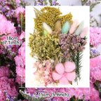 Vignee Real Dried Pressed Leaf Flowers-Multiple Colorful Pressed Flowers Daisies - Image 2