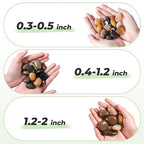 SIDONG 20 LB Mixed River Rocks, 1.2-2 Inches Highly Polished Pebbles - Image 4