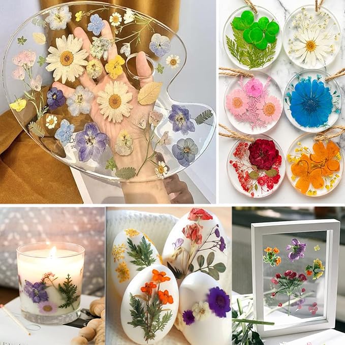 13 Types 37pcs White Dried Pressed Flowers - Image 4