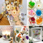 320PCS Dried Pressed Flowers Bulk - Image 8