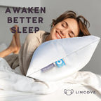Lincove Cloud Natural Canadian Down Pillow, 500 Thread Count Cotton Shell - Image 6