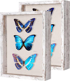 2 Packs 11x14 Shadow Box Frame by Califortree