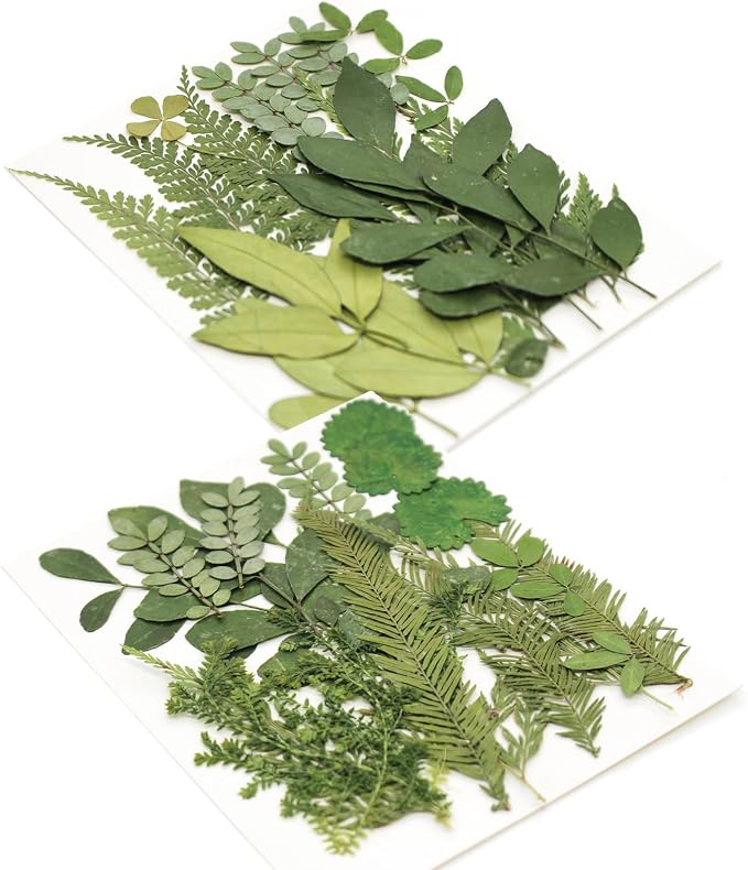 84 Pcs Dried Pressed Leaves Flowers Real Natural Dried Leaves Plant Kit - Image 7