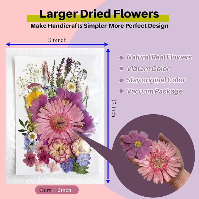 A4 Large Dried Pressed Flowers for Resin Purple Pressed Flowers Real Dry - Image 2