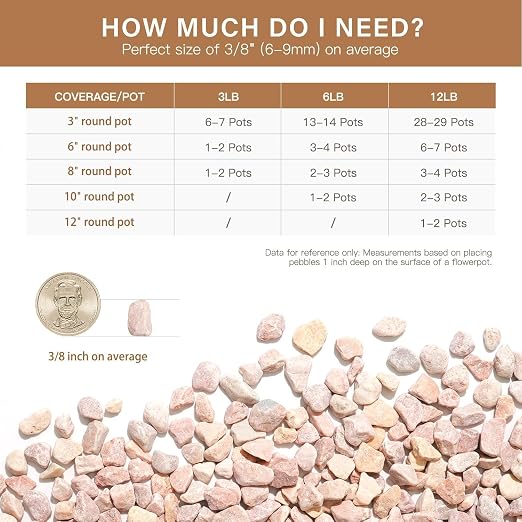 NUPICK 12 lbs Pebbles for Indoor Plants, 3/8 Inch Pea Gravel for Fish Tank - Image 6