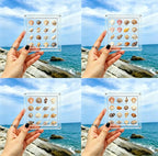 Acrylic Magnetic Seashell Display Box, Beach Shelling Collecting Tools by Unknown