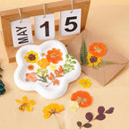100 Pcs Fall Dried Pressed Flowers - Image 6