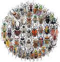 50 PCS Realistic Beetle Stickers by Unknown