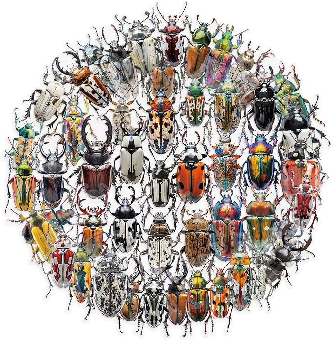 50 PCS Realistic Beetle Stickers by Unknown