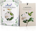Gardenia Scented Sachet Bags - 12 Pack Closet Freshener Odor Eliminator, Long Lasting Home Fragrance for Drawers, Wardrobes & Cars, House Smell Good Products, Air Freshener for Closet