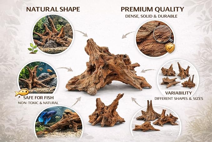 Azil Natural Driftwood 9''-12'' – Perfect Aquarium Decoration - Image 3