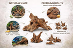 Azil Natural Driftwood 9''-12'' – Perfect Aquarium Decoration - Image 3