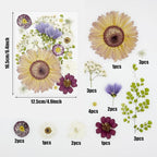 Woohome 44 PCS Real Pressed Flowers, Dry Leaves Natural Dried Pressed Leaves - Image 5