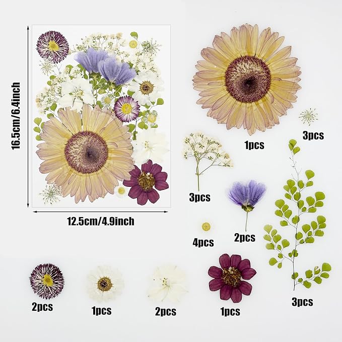 Woohome 44 PCS Real Pressed Flowers, Dry Leaves Natural Dried Pressed Leaves - Image 5